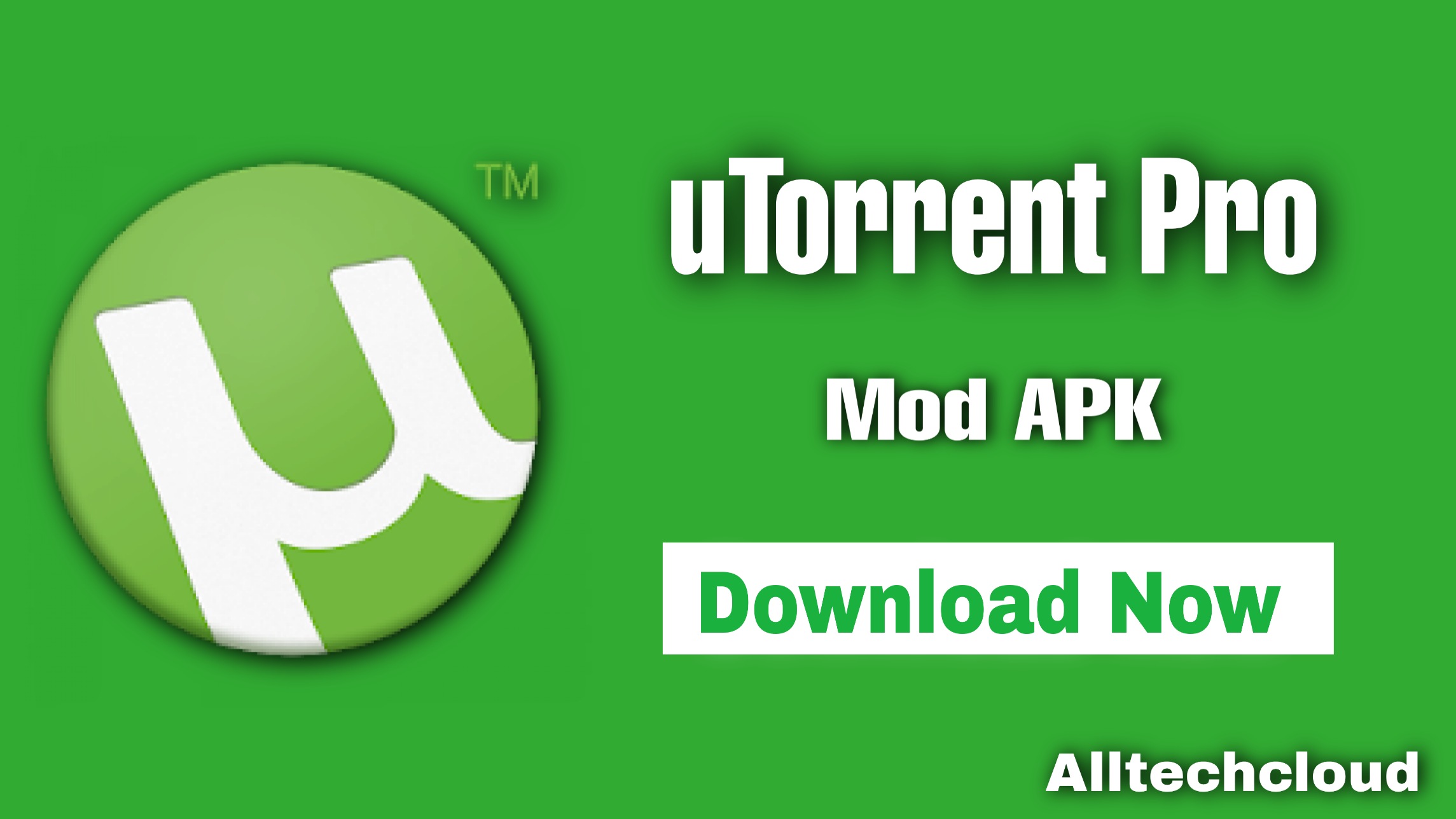 download utorrent pro 3.6.6 crack