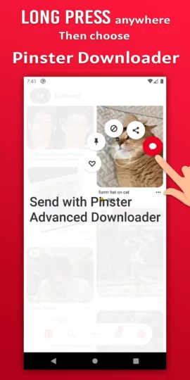 Pinster Advanced Downloader
Mod Apk